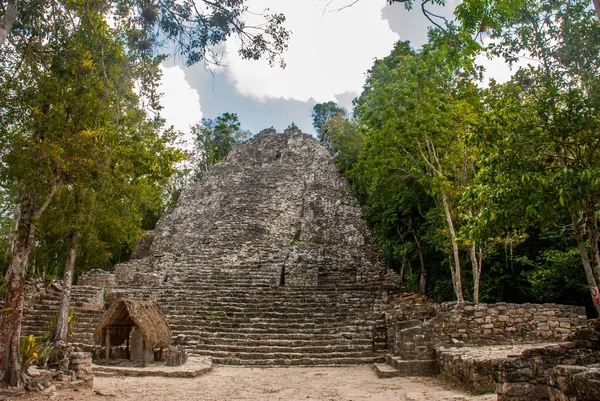 在墨西哥尤卡坦半岛的古玛雅城市遗址 Coba 令人印象深刻的石金字塔之一 — 图库照片