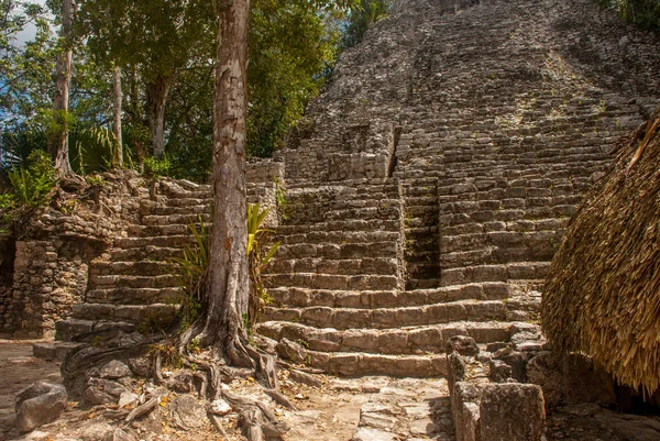 Jedním Působivých Kamenných Pyramid Coba Ruiny Starověkého Mayského Města Yucatán — Stock fotografie