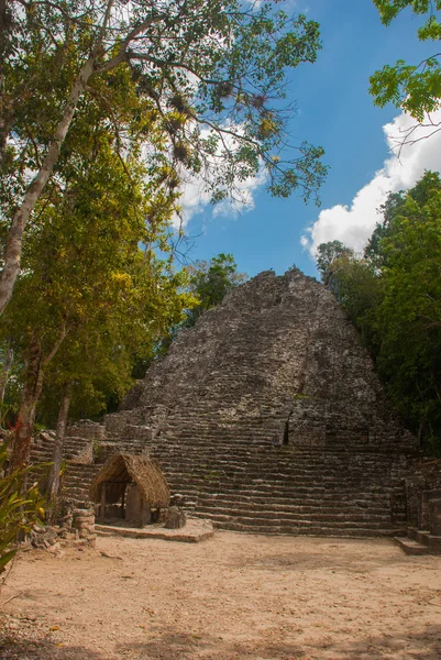 Ormanlarda, Maya piramit kalıntıları. Coba. Meksika Yucatan. Coba bir arkeolojik alan ve Yucatan Yarımadası'nın ünlü bir dönüm noktası olduğunu.