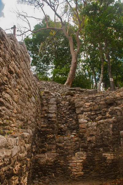 Ruinerna Maya Pyramid Djungler Coba Mexiko Yucatan Coba Ett Arkeologiskt — Stockfoto