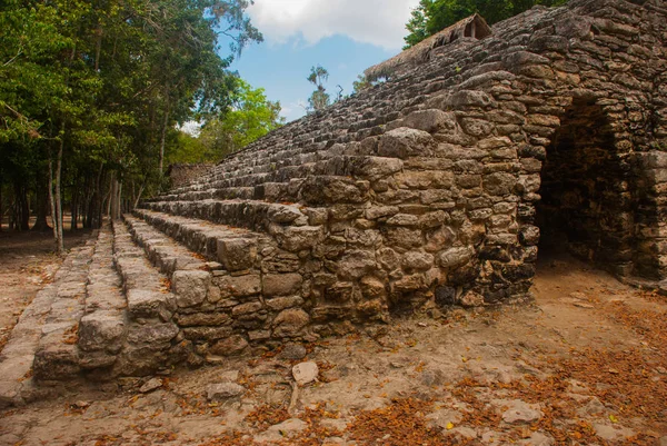 Coba Meksyk Yucatan Wejście Piramidy Kompleksu Archeologicznego Ruiny Piramidy Starożytnym — Zdjęcie stockowe