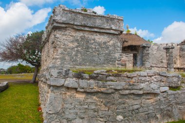 Tulum, Meksika, Yucatan: Antik Maya şehir kalıntıları Arkeoloji kompleksi.