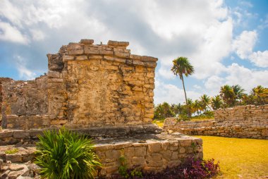 Tulum, Yucatan, Meksika: arkeolojik kalıntılar Mayalar tarafından inşa edilmiş. Antik kenti