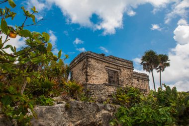 Tulum, Yucatan, Meksika: arkeolojik kalıntılar Mayalar tarafından inşa edilmiş. Antik kenti
