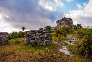Tulum, Meksika, Yucatan'da Maya harabelerini. Kalıntılar üzerinde uzun boylu Karayip Denizi uçurumlarda inşa edildi. Tulum inşa ve Maya yaşadığı son şehirlerinden biriydi.