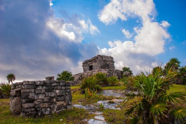 Maya harabelerini Tulum, Meksika için. Kalıntılar üzerinde uzun boylu Karayip Denizi uçurumlarda inşa edildi. Tulum inşa ve Maya yaşadığı son şehirlerinden biriydi. Riviera Maya, Yucatan.