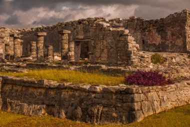 Maya harabelerini Tulum, Meksika için. Kalıntılar üzerinde uzun boylu Karayip Denizi uçurumlarda inşa edildi. Tulum inşa ve Maya yaşadığı son şehirlerinden biriydi. Riviera Maya, Yucatan.
