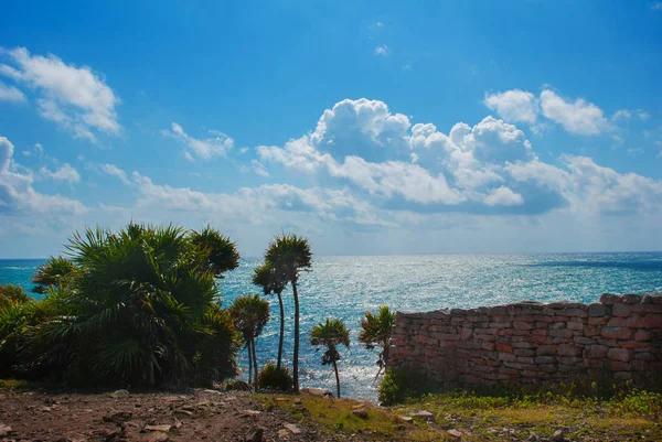 Panorama Piękny Krajobraz Widokiem Morze Karaibskie Tulum Meksyk Yucatan — Zdjęcie stockowe