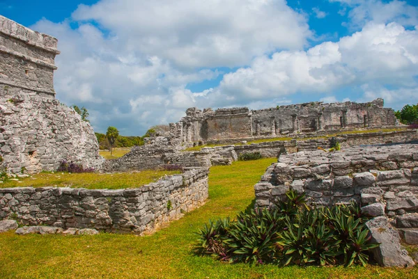 Tulum Mexico Yucatan Archaeological Complex Ruins Ancient Mayan City — Stock Photo, Image