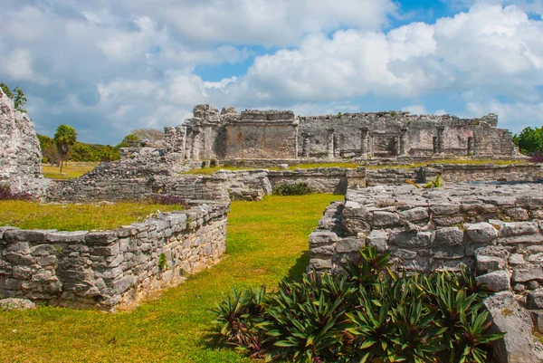 Tulum Mexico Yucatan Archaeological Complex Ruins Ancient Mayan City — Stock Photo, Image