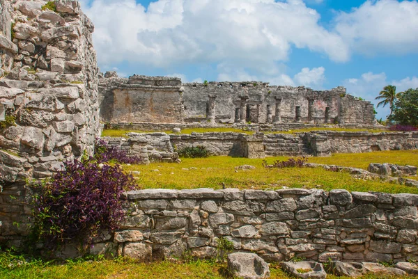 Tulum Meksika Yucatan Antik Maya Şehir Kalıntıları Arkeoloji Kompleksi — Stok fotoğraf