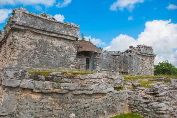 Tulum Riviera Maya Yucatan Meksika Yok Edilen Antik Maya Şehir — Stok fotoğraf