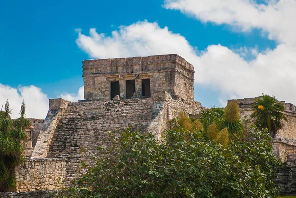 Mayan Ruins Tulum Mexico Yucatan Tulum One Last Cities Built — Stock Photo, Image