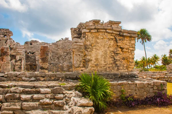 Tulum Yucatan Meksika Arkeolojik Kalıntılar Mayalar Tarafından Inşa Edilmiş Antik — Stok fotoğraf