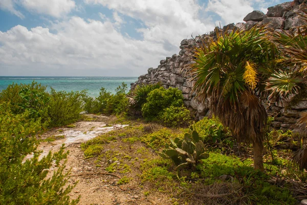 在坎昆的壮观的废墟 坎昆是 Mexicos 加勒比海岸的一个度假城市 第十三世纪 位于坎昆国家公园的玛雅考古遗址俯瞰大海 海滨玛雅 尤卡坦半岛 墨西哥 — 图库照片
