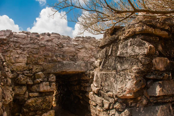 Τουλούμ Γιουκατάν Μεξικό Στην Είσοδο Του Ναού Αρχαιολογικά Ερείπια Που — Φωτογραφία Αρχείου