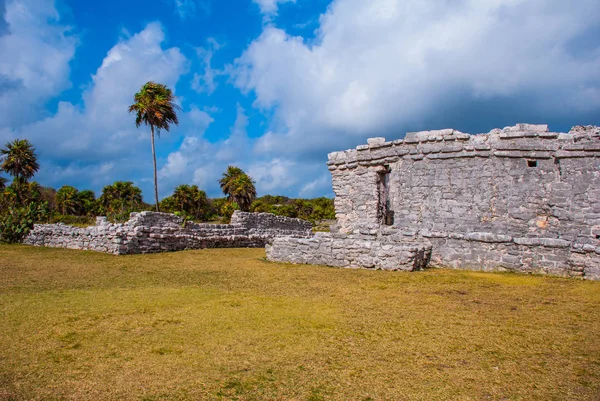 Las Ruinas Antigua Ciudad Maya Complejo Arqueológico Tulum Riviera Maya — Foto de Stock