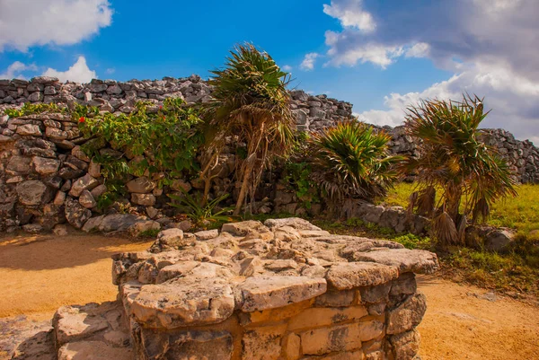 Ruins Ancient Mayan City Archaeological Complex Tulum Riviera Maya Yucatan — Stock Photo, Image