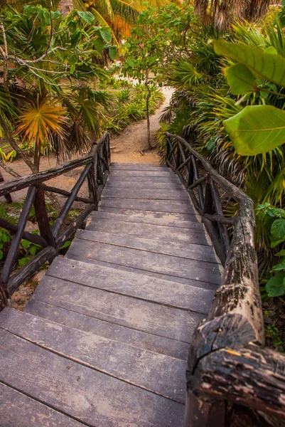 Wooden Bridge Steps Made Boards Tulum Riviera Maya Yucatan Mexico — Stock Photo, Image