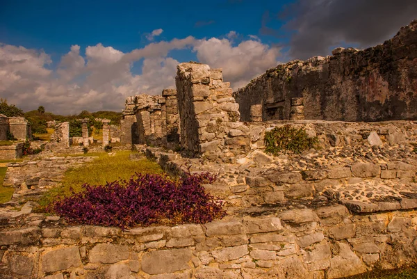 Μάγια Ερείπια Στην Tulum Μεξικό Ερείπια Που Χτίστηκαν Στα Ψηλά — Φωτογραφία Αρχείου