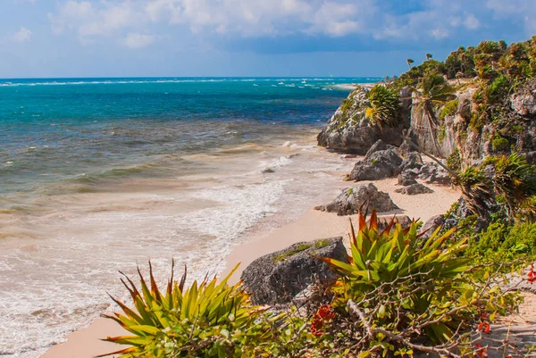 Aerial View Beach Caribbean Sea Tulum Sunny Day Yucatan Mexico — Stock Photo, Image