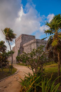 Maya harabelerini geri Tulum, Meksika, Riviera Maya, Yucatan. Eski binalar maya imparatorluktan yüzlerce yıl önce.