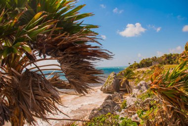 Tulum, Meksika 'nın Riviera Maya Havacılık Manzarası' ndaki Karayip Denizi 'ne bakan kalıntıları. Tulum plajı Quintana Roo Mexico - İHA atışı. Beyaz kumsal ve Tulum kalıntıları.