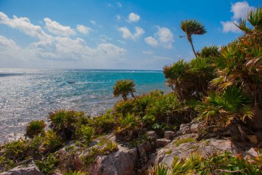 Panorama tropikal peyzaj üstten görünüm Karayip Denizi, kayalar, ağaçlar ve çalılar. Tulum, Meksika, Yucatan.
