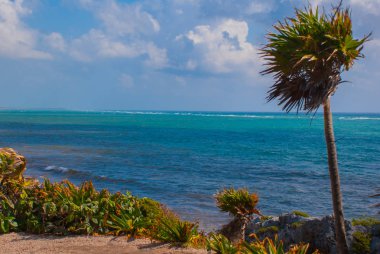 Karayip Denizi'nin manzaralarına sahip güzel bir manzara Panoraması. Tulum, Meksika, Yucatan, Riviera Maya.