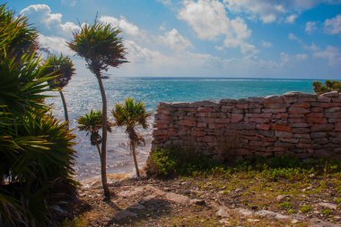 Palmiye ağaçlarının Karayip Denizi ve kalıntıları ile güzel manzara. Tulum, Meksika, Yucatan.