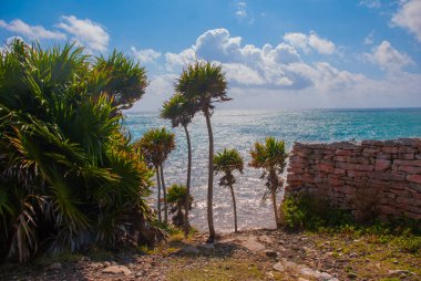 Palmiye ağaçlarının Karayip Denizi ve kalıntıları ile güzel manzara. Tulum, Meksika, Yucatan.