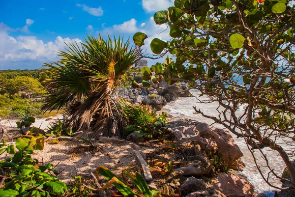 Templo Deus Dos Ventos Mar Azul Turquesa Caribe Farinhas Tulum — Fotografia de Stock