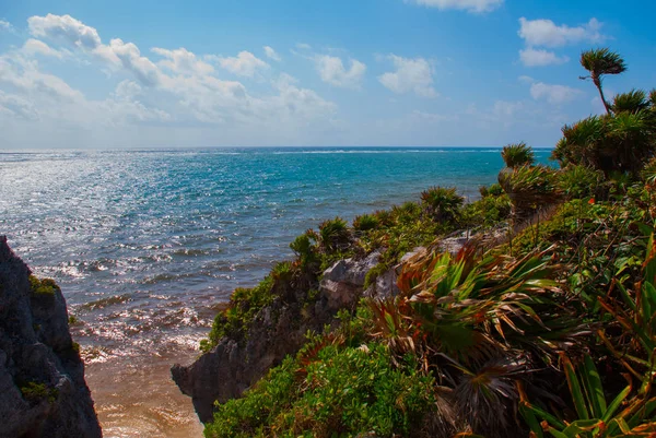 Panorama Tropikalny Krajobraz Góry Morze Karaibskie Skały Drzewa Krzewy Tulum — Zdjęcie stockowe