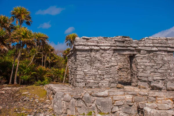 Tulum México Yucatán Riviera Maya Las Ruinas Del Antiguo Sitio — Foto de Stock