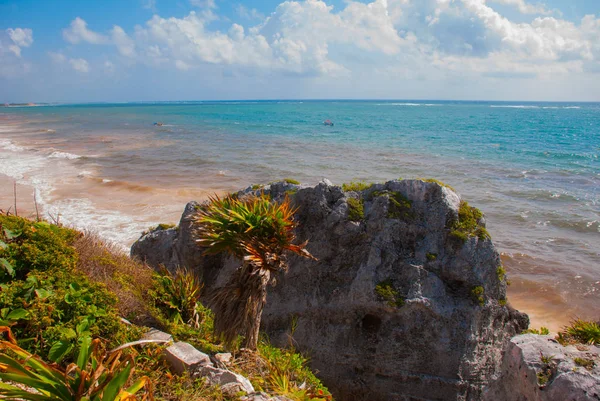 全景美丽的风景与加勒比海的看法 墨西哥 尤卡坦半岛 — 图库照片