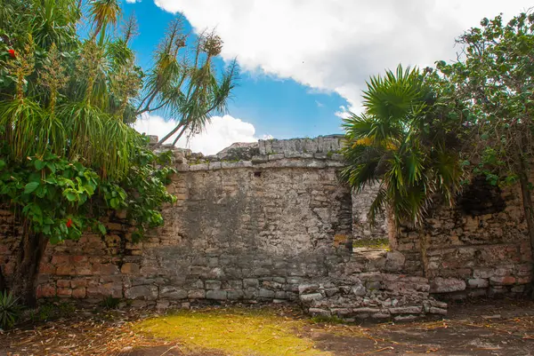 Ruínas Maias Tulum México Yucatan Tulum Foi Uma Das Últimas — Fotografia de Stock