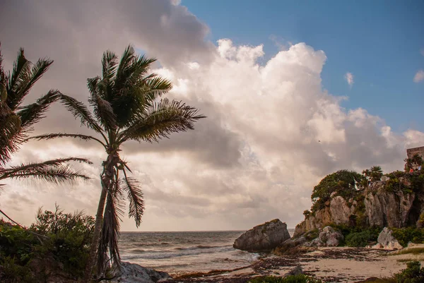墨西哥风景在多云的天气在海边 风中的椰子树 Tulum Riviera Maya Yucatan Mexico — 图库照片