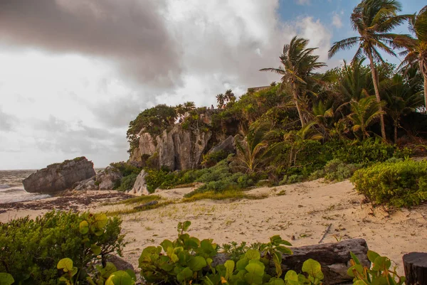 Mexicaanse Landschap Bewolkt Weer Door Zee Kokospalmen Wind Tulum Riviera — Stockfoto