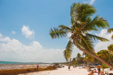 Algler, enkaz ve çamur beach işçilerden temizlik. Meksika berbat plaj yağmurlar sonra. Tulum, Yucatan, Riviera Maya Meksika.
