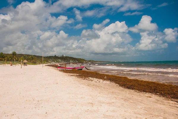 Muchas Algas Escombros Barro Playa Terrible Playa Después Las Lluvias — Foto de Stock