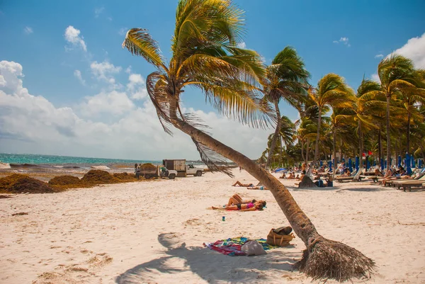 Algler, enkaz ve çamur beach işçilerden temizlik. Meksika berbat plaj yağmurlar sonra. Tulum, Yucatan, Riviera Maya Meksika.