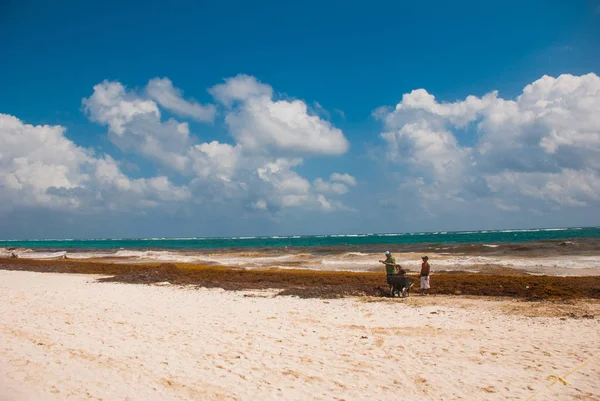 Pulire Gli Addetti Alla Spiaggia Alghe Detriti Fango Spiaggia Terribile — Foto Stock