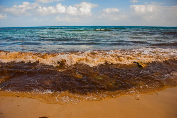 Playa Del Carmen México Yucatán Riviera Maya Horrible Playa Sucia — Foto de Stock
