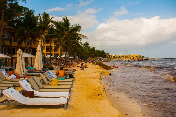 墨西哥 尤卡坦半岛 海滨玛雅 可怕的肮脏的海滩泥 海藻和垃圾 — 图库照片