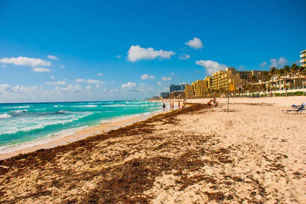 Horrible Dirty Beach Caribbean Sea Tina Seaweed Garbage Cancun Mexico — Stock Photo, Image