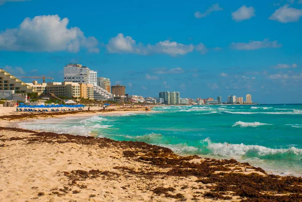 Horrible Playa Sucia Mar Caribe Con Tina Algas Basura Cancún — Foto de Stock