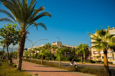 Turist alan. Yolun palmiye ağaçları ile plaj önünde. Alanya Yarımadası, Antalya bölgesinde, Türkiye, Asya