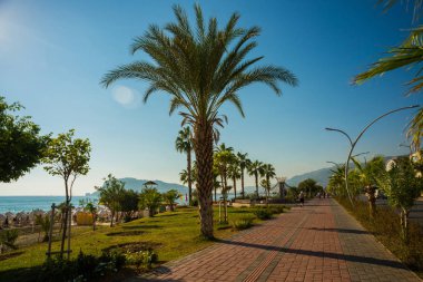 Turist alan. Yolun palmiye ağaçları ile plaj önünde. Alanya Yarımadası, Antalya bölgesinde, Türkiye, Asya