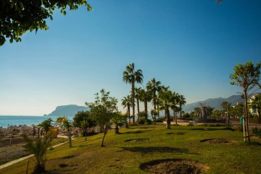 Tropik cenneti. Sarı kum ve palmiye ağaçları, Alanya Yarımadası, Antalya bölgesinde, Türkiye, Asya ile plaj