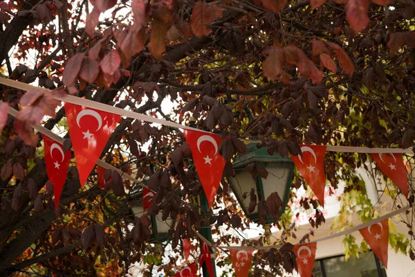 Bendera Segitiga Turki Menggantung Antara Daun Burgundy Musim Gugur Eskisehir — Stok Foto